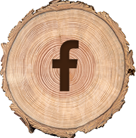 facebook icon