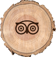 tripadvisor icon